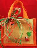 Summer Lady Bug Gift Bag